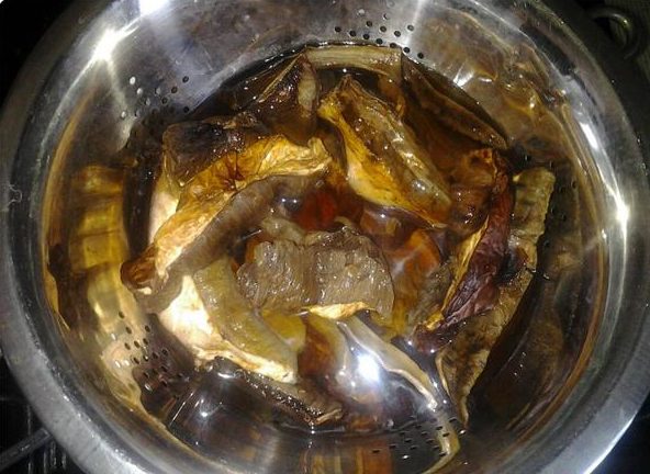 نقع الفطر