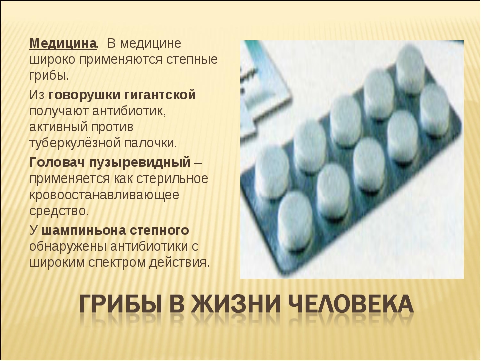 Употребата на гъби в медицината