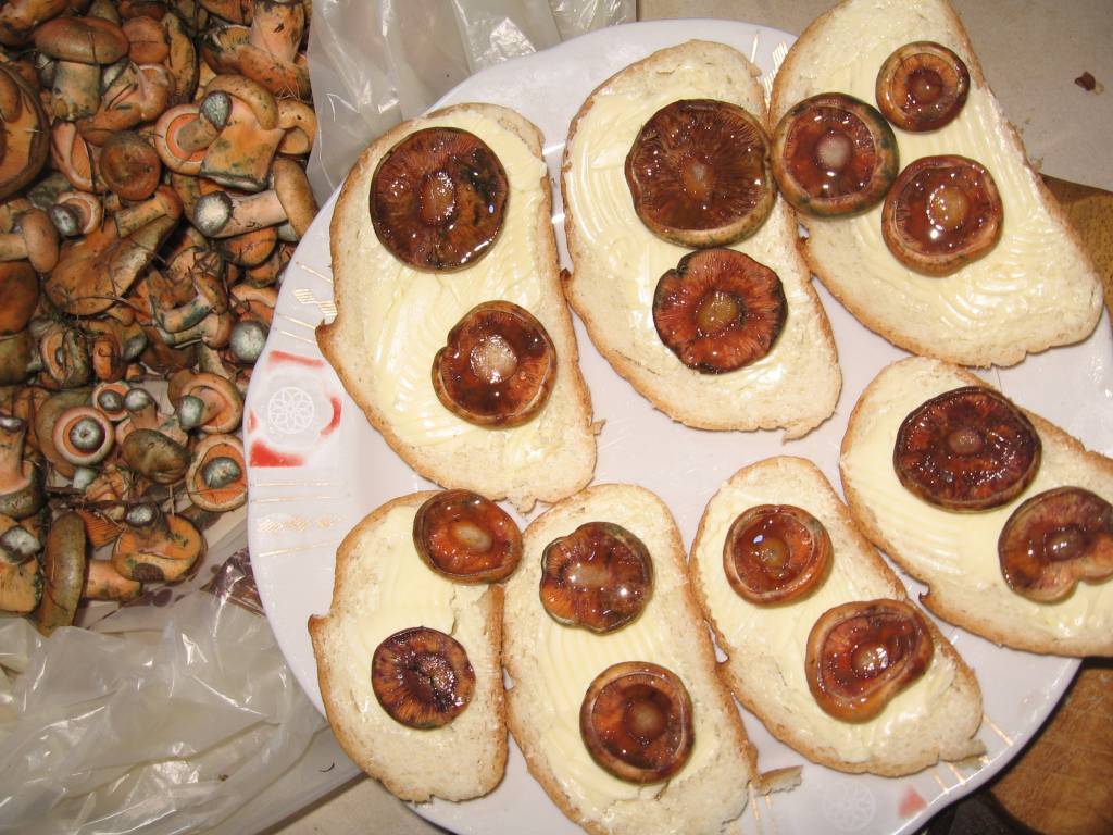 Сандвичи с капачки от шафраново мляко