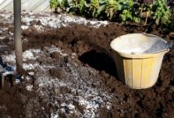 calcinazione del terreno