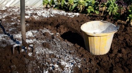 chaulage des sols