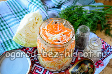 Come fermentare il cavolo in barattolo