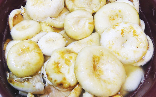 laver les champignons