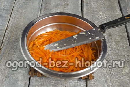 râper les carottes