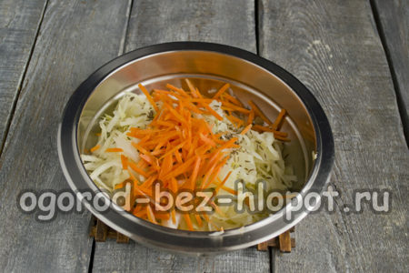ajouter des carottes