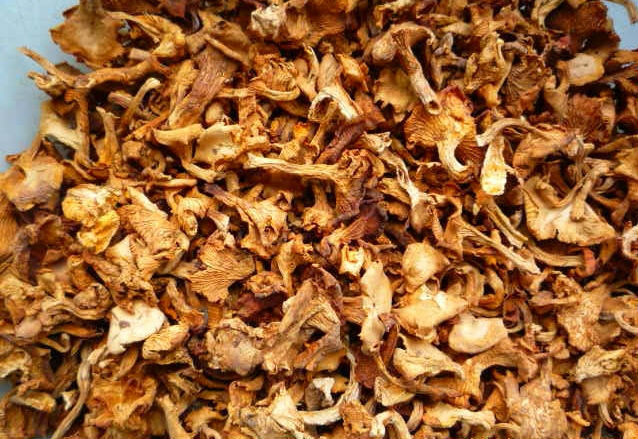 Αποξηραμένα chanterelles