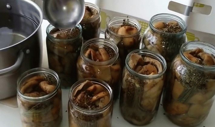 Remarinage des champignons