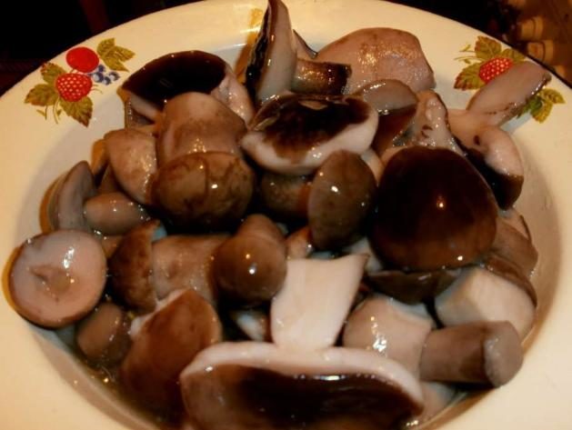 Pickled boletus mushrooms