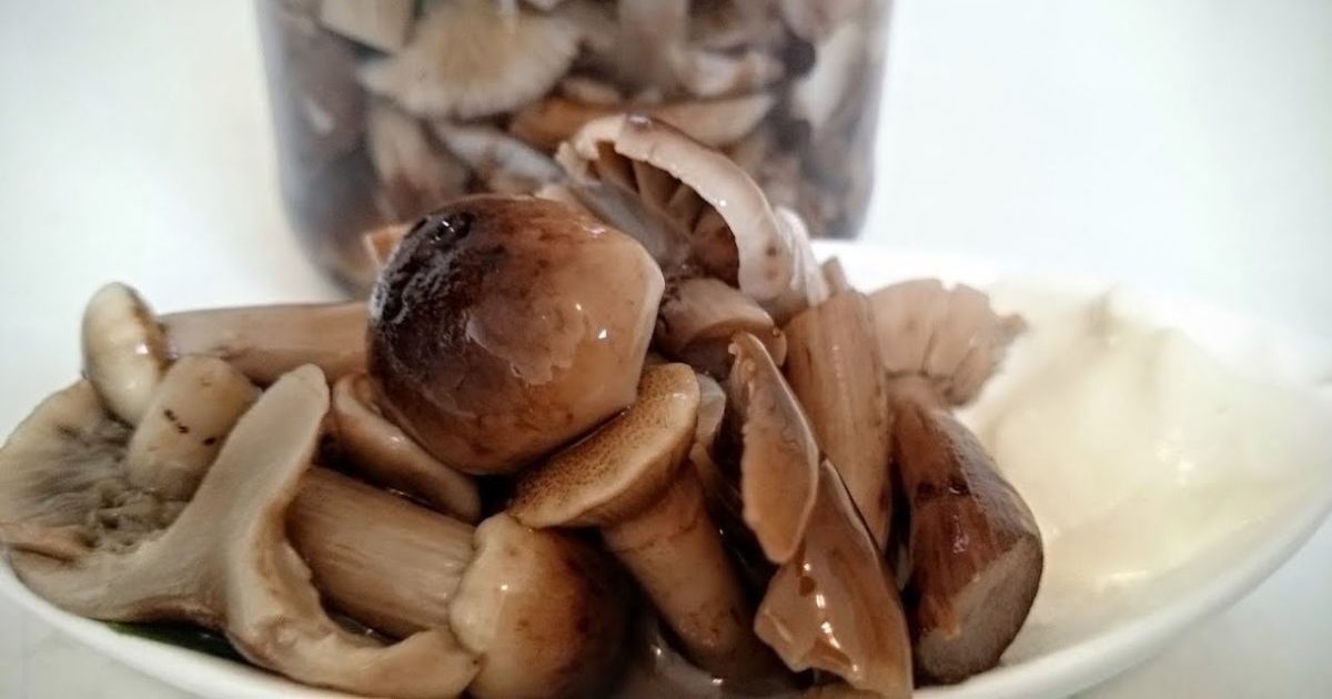 Marinierte Champignons