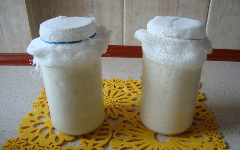 Milchpilze im Glas