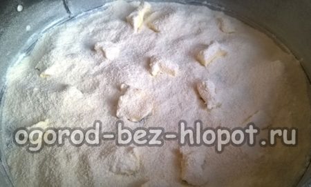 Gieße die Hälfte der trockenen Mischung hinein.
