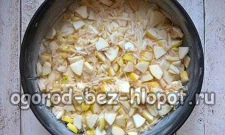 Die Hälfte der Äpfel herausgeben.
