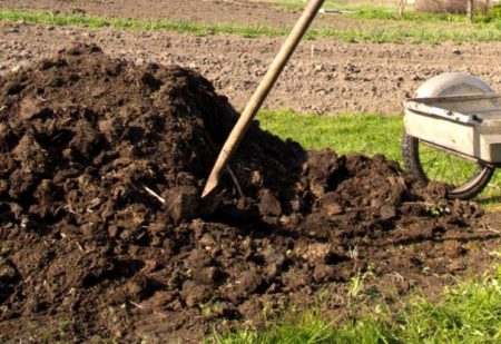 Fertilizzanti organici autunnali