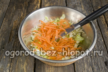 Karotten raspeln