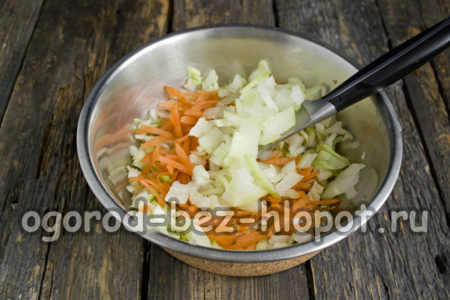 Zwiebel hacken