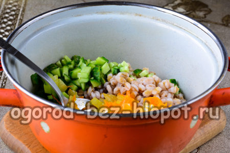 Déposez les concombres, l'orge perlé et les légumes frits dans une casserole.