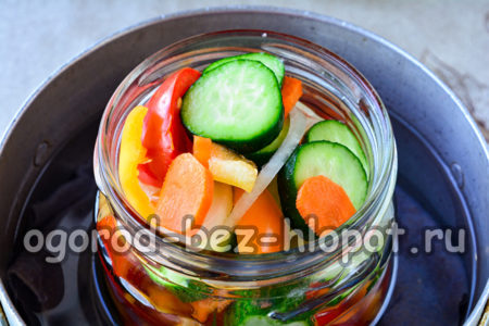 Den Salat in Gläser füllen.