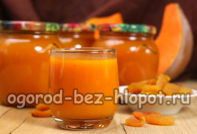 succo di zucca con albicocche secche