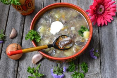 zuppa di porcini