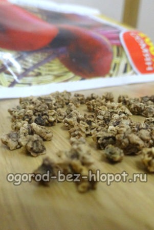 graines de betterave