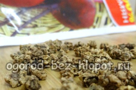 graines de betterave