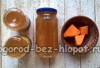 succo di zucca con mele