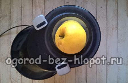 Die Äpfel durch einen Entsafter geben.