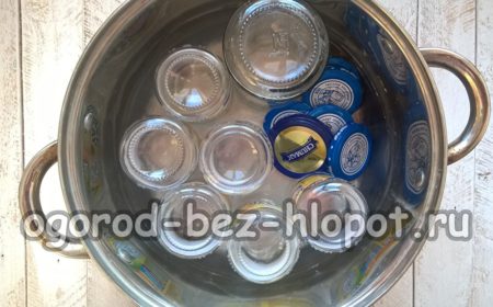 Gläser mit Deckel auskochen
