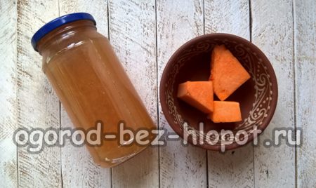 Kürbis-Apfel-Saft