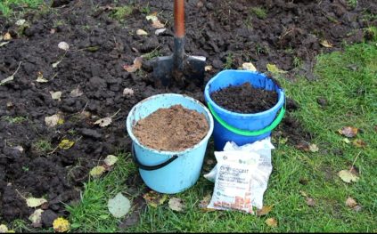 Fertilizzanti per l'autunno