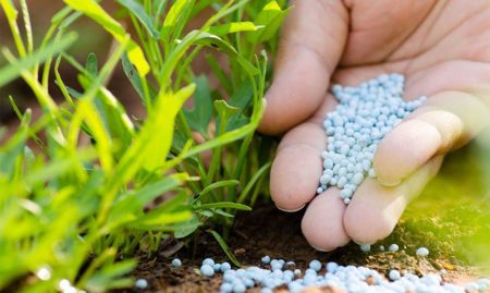 Fertilizzanti autunnali