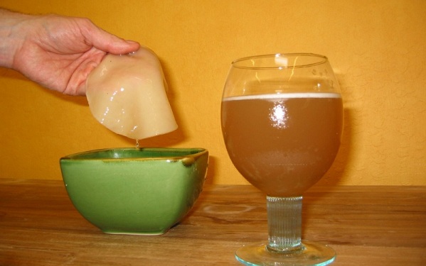 Pilze und Getränk