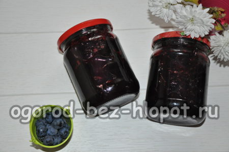 confiture de prunellier à noyau