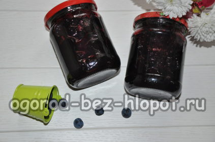 confiture de prunelles