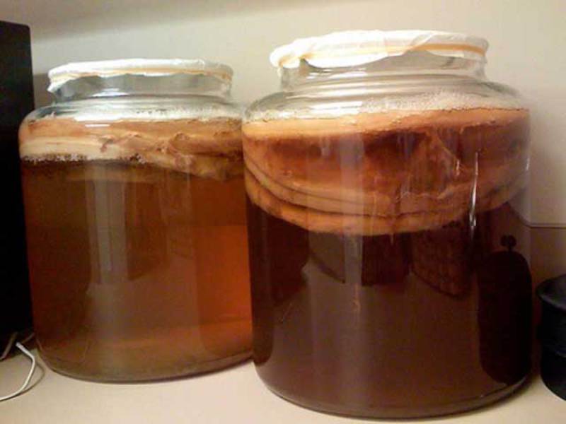 Kombucha