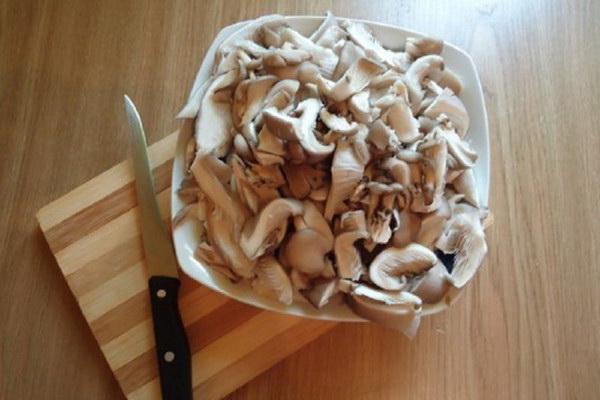 Austernpilze