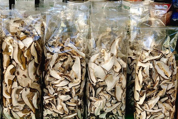 Getrocknete Austernpilze