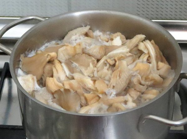 Гъба кладница