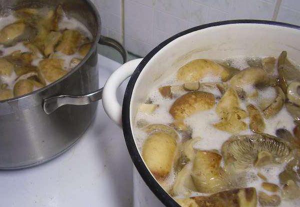 Приготвяне на гъби
