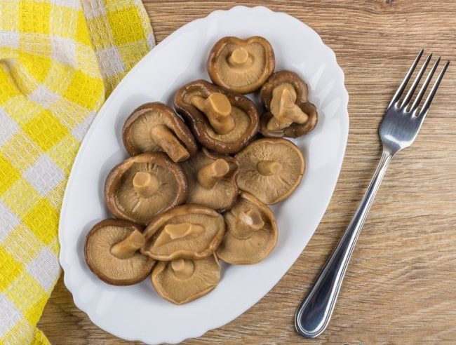 Funghi salati e amari