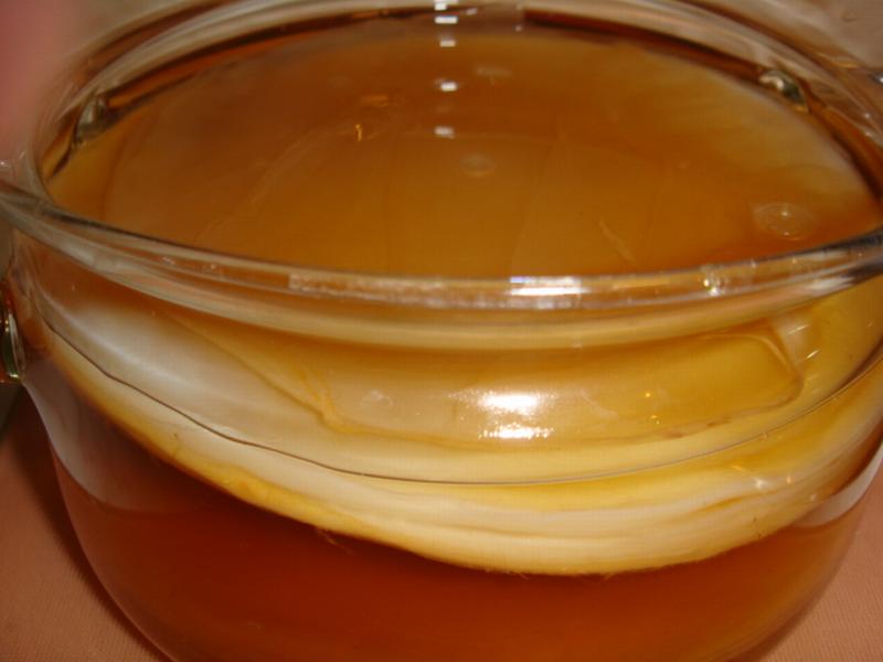Kombucha