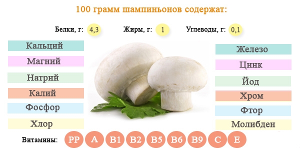 Chemische Zusammensetzung von Champignons