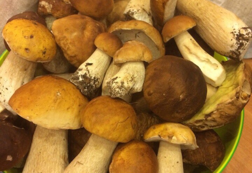 Marinierte Champignons