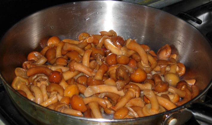 Gebratene Champignons