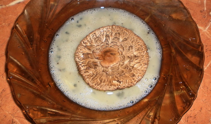 Champignon dans un œuf