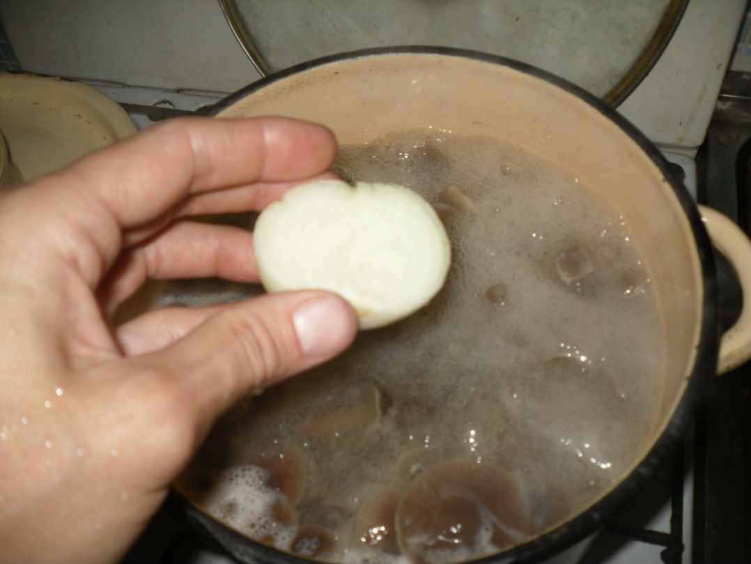 Test des champignons avec un oignon