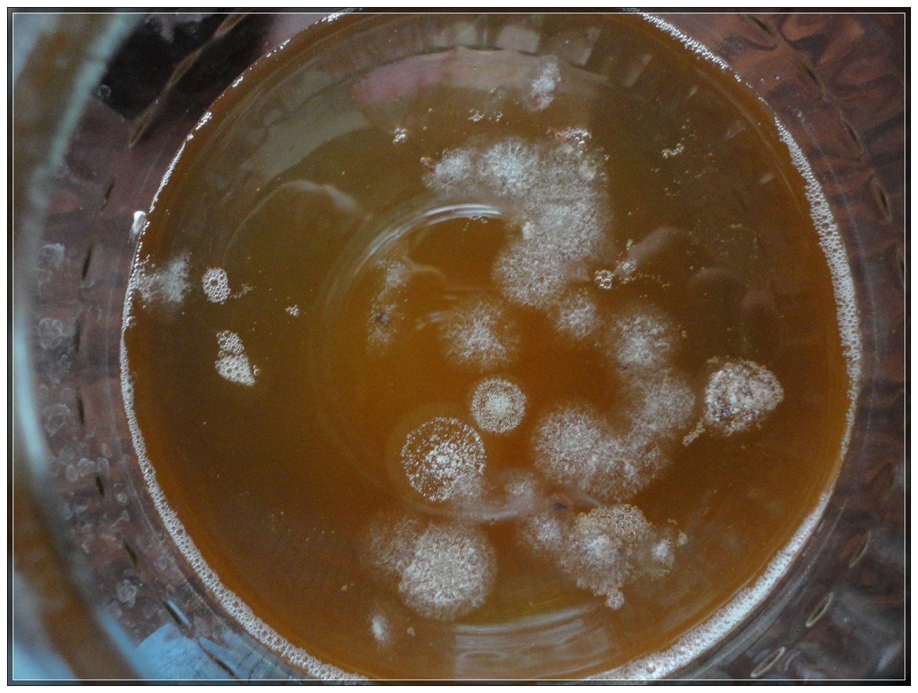 Kombucha