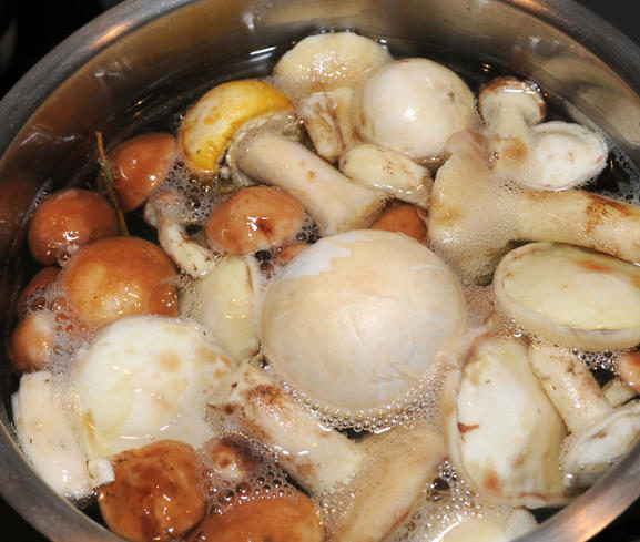 Cucinare i funghi
