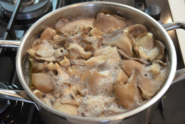 Стриди гъби за мариноване