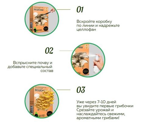 Algorithme en croissance